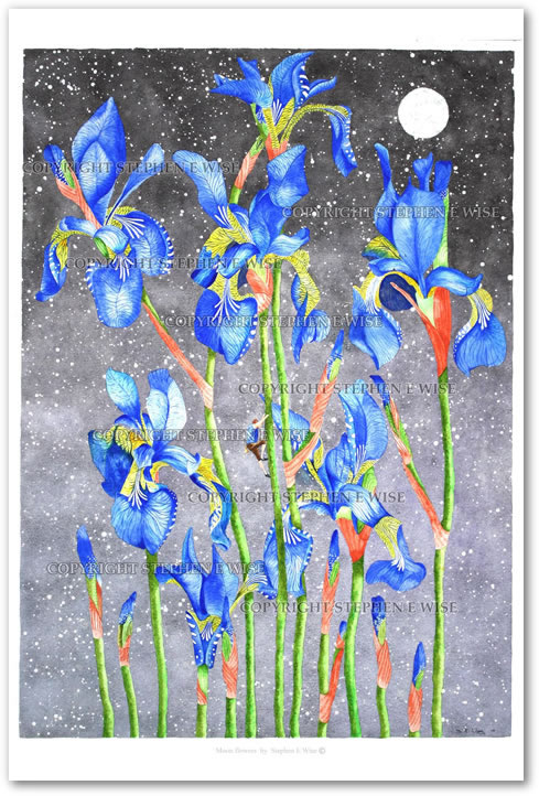 Buy Original Art Works from leading Contemporary Artist Stephen E Wise - Artwork Title : Moon flowers 2